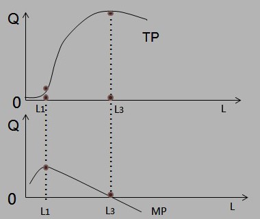 (2)总产量曲线的图形(先上升,后下降)