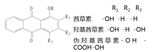 ②茜草素型 羟基分布在同一侧的苯环上,多为橙黄或橙红色,主要存在于