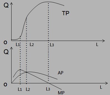 (3)平均产量曲线的图形(先上升,后下降)